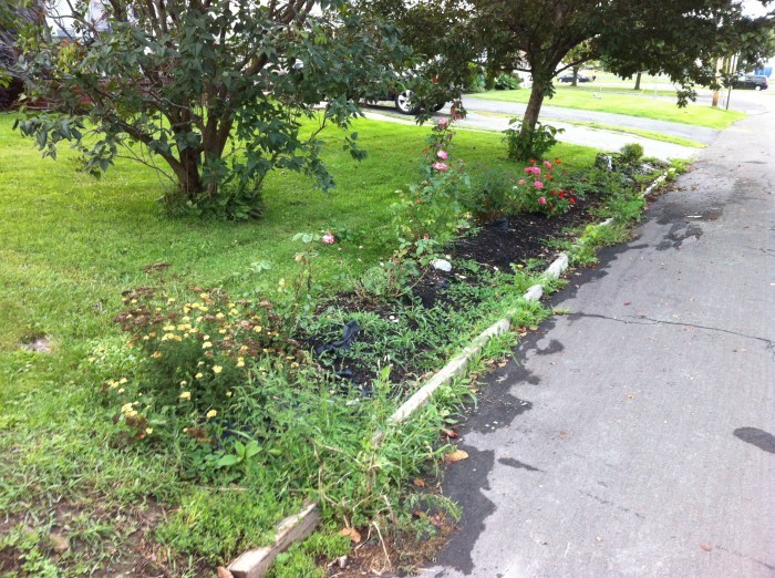 Now this is a front front front yard garden.