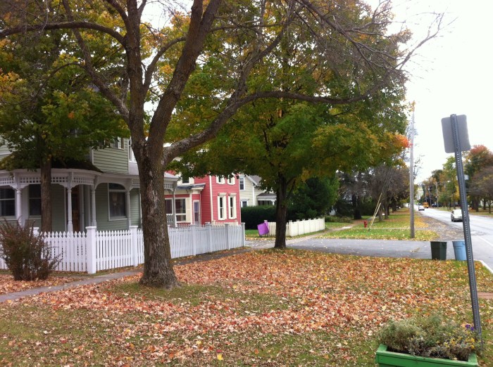 Leaves are down in Morrisville, N.Y.