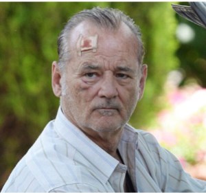Bill Murray SNT