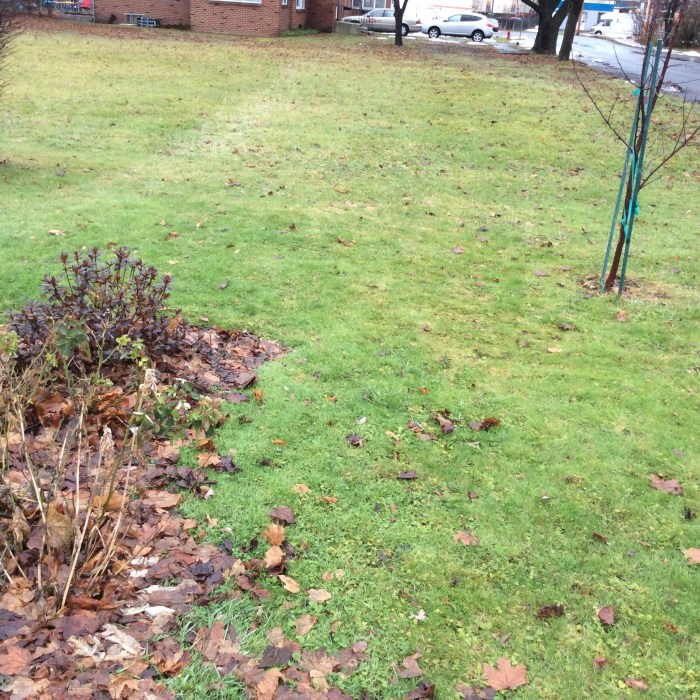 The front lawn is bare again in Syracuse, N.Y.