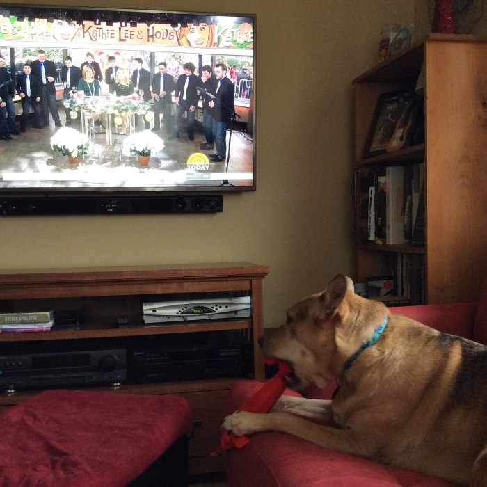 My gift and Ellie B aka Dogamous Pyle's gift.