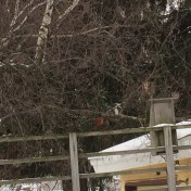 If you sit there, I will push the white button.