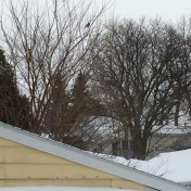 Fast but now I have better technology. 