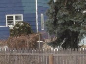 Wait, that's not just my two usual reds.