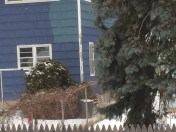 Join your friends, cardinals. 