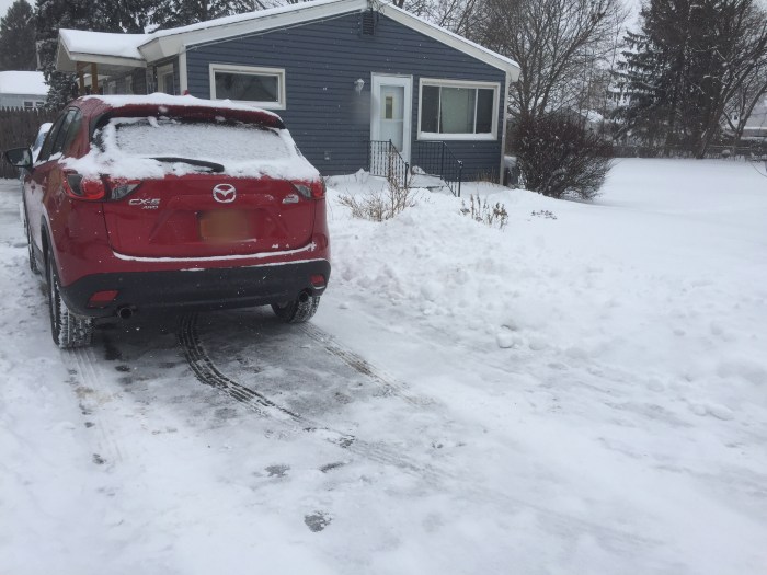 Bottom of our driveway, shoveled.