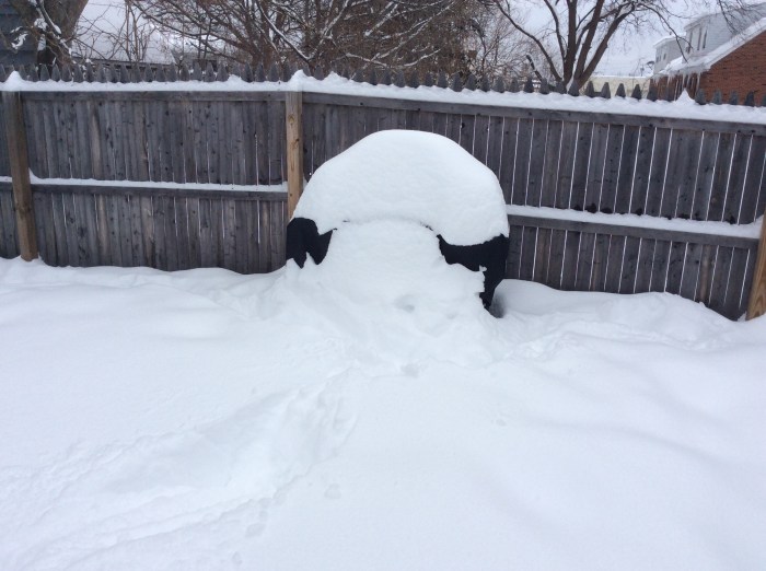 There's our grill. Somewhere. 