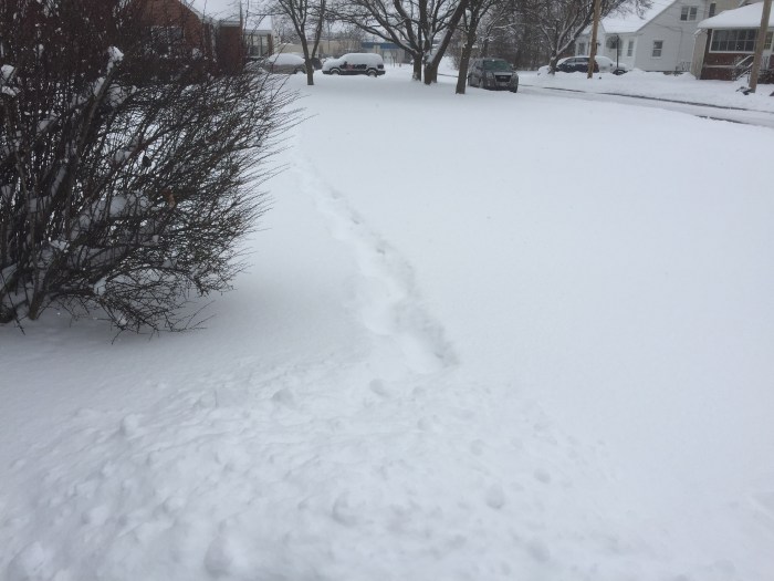 Front walk to nowhere.