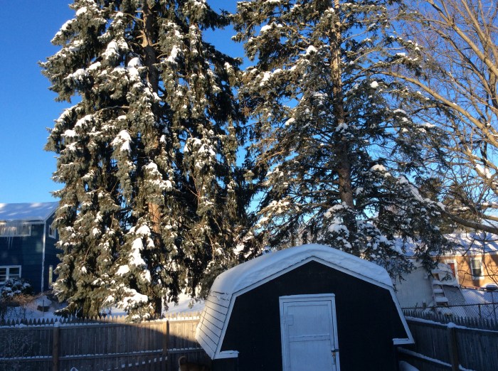 Crisp and inviting in Syracuse, N.Y.