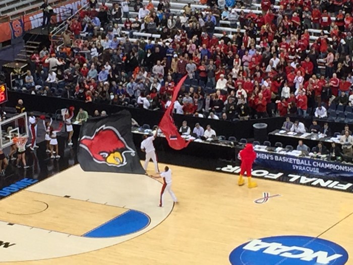 Louisville Cardinal zoomed.