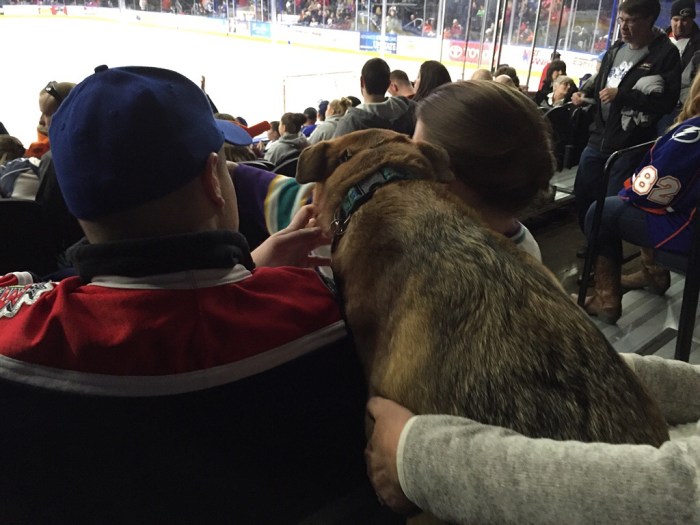 Hey George and Elisabeth!