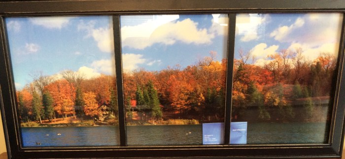 Jack O Bocchino photography won at silent auction.