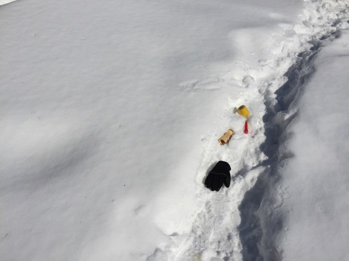 You never know what Ellie B aka Dogamous Pyle will stash in the backyard.