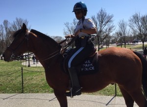 Vietnam Veterans Memorial