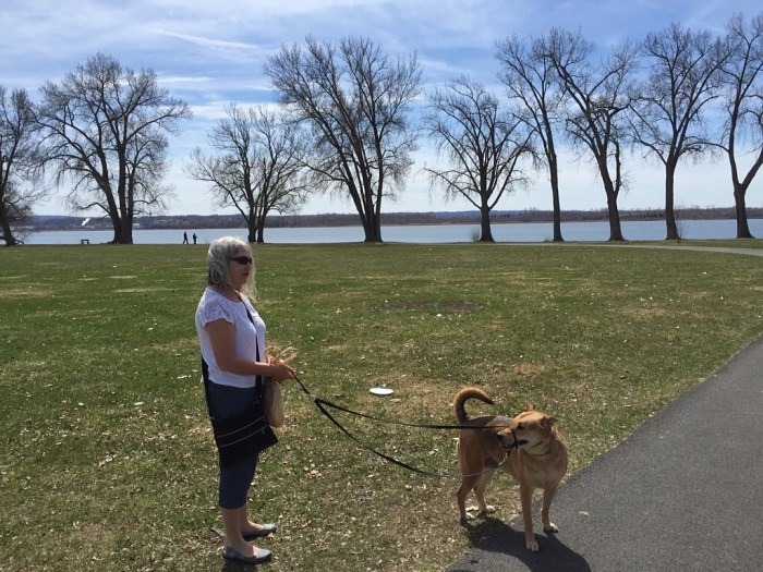 Calmer dog and wife.
