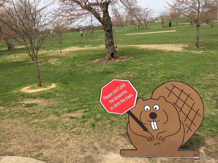 I'll pick wisely, promise.