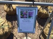 And the whole 25 feet.