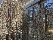 Get my drift on the cool shape?