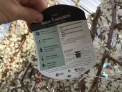 Matchmaker, matchmaker, make me a match. 