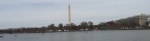 Tidal Basin beauty