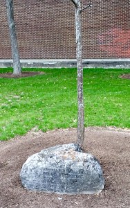 A tragic flashback to 1975.