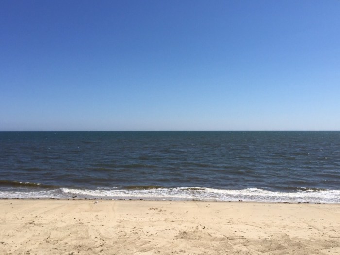 Straight-on beautiful.