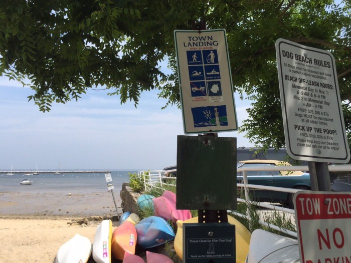 Welcome, Dogamous Pyle.