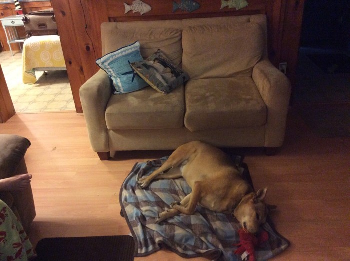 Home away from home.