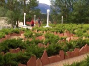 I'll fear it when it grows.