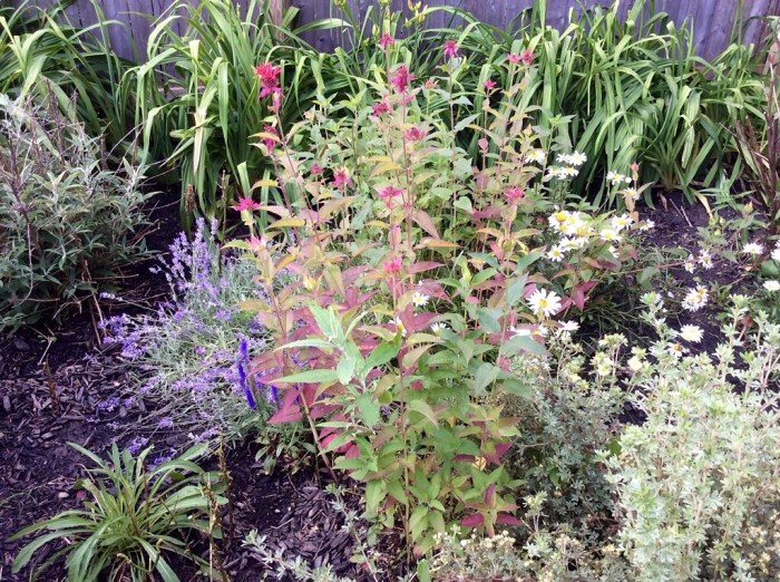 Karen's bouquet to you.