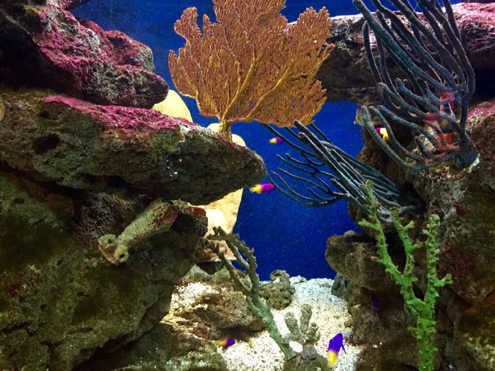 Wowing me in the deep.