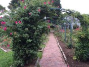 Arches with climbers.