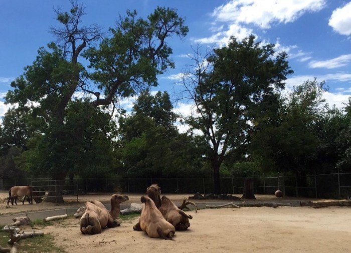 It's not even Wednesday, guys.