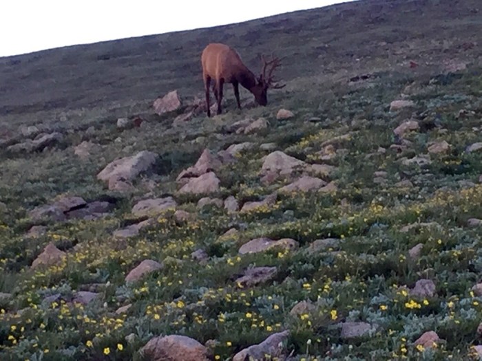 Everybody's got to eat.