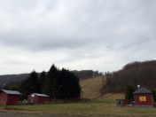 Waiting for Mother Nature.