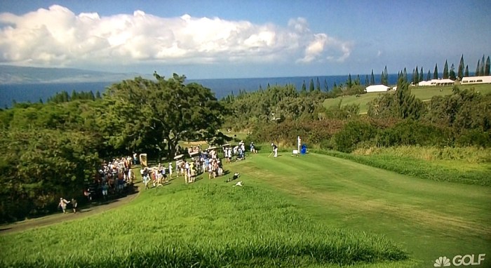 The green, green grass of Maui in January. (From my wide-screen)