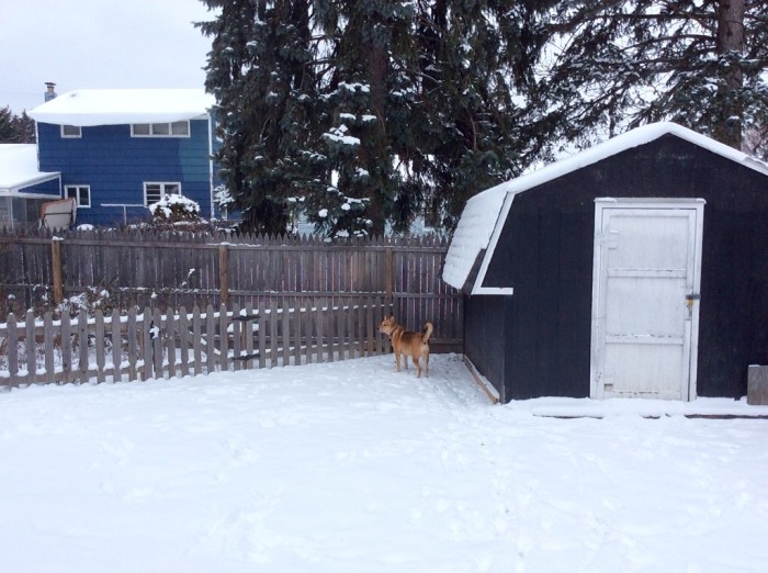 Enjoying the moment is Ellie B aka Dogamous Pyle.