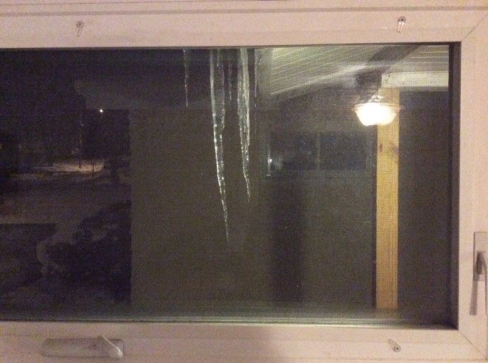 A view from the kitchen.