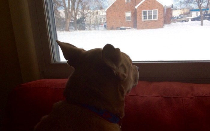 What's going on in there, Ellie B?