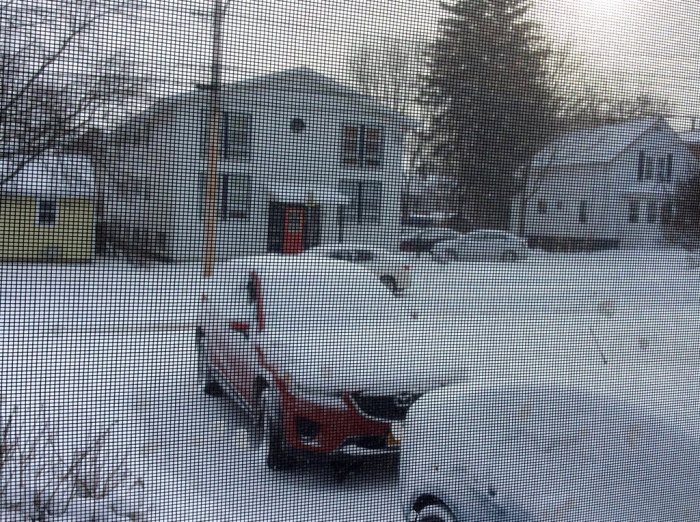 The morning view from our kitchen window after I pushed the coffee machine button.