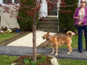 Appreciating the warmth and colors.