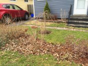 Yes, it's starting to stir.