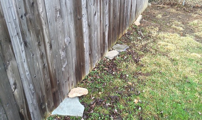 Skunk preventing 102.