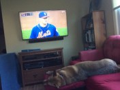 Ellie B and Matt Harvey share a moment. Sort of. 