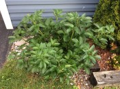 Another season complete.