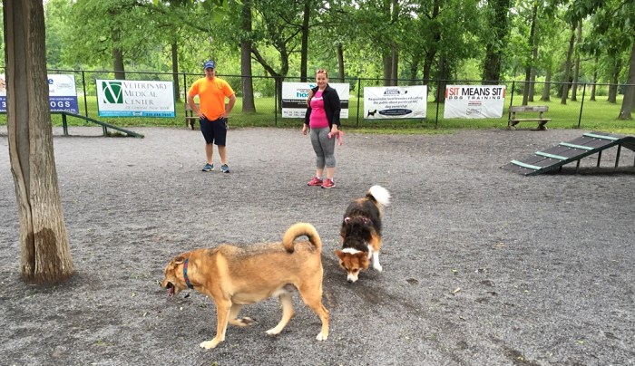 Ellie B and Eenie meet.