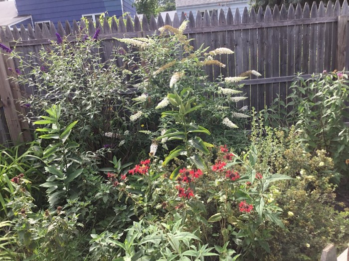 Purple. White. Multicolored.