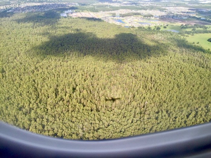 Check out that shadow.