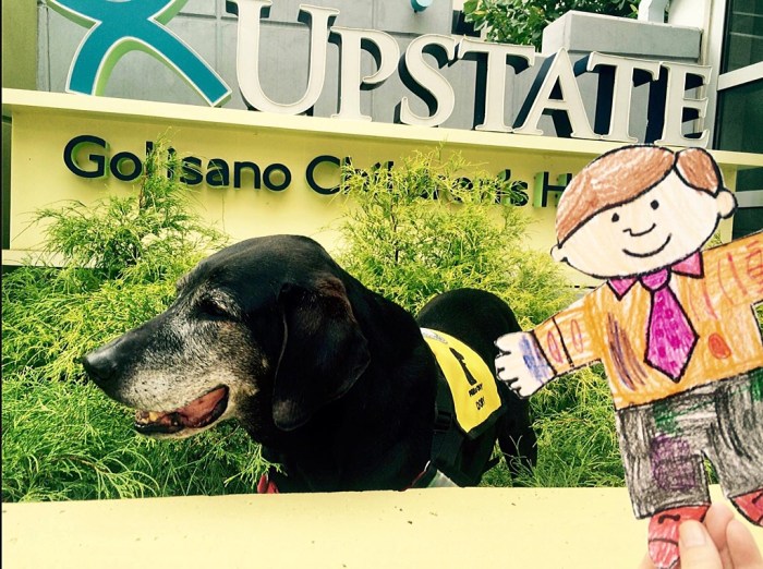 With service dog Dory.