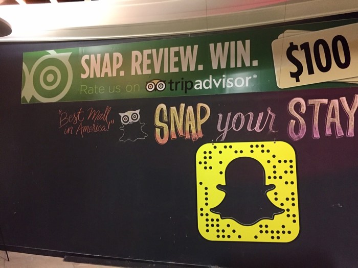 Take your photo here.